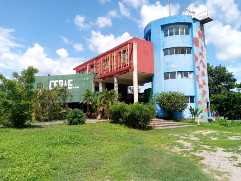 sededelcemag 768x576